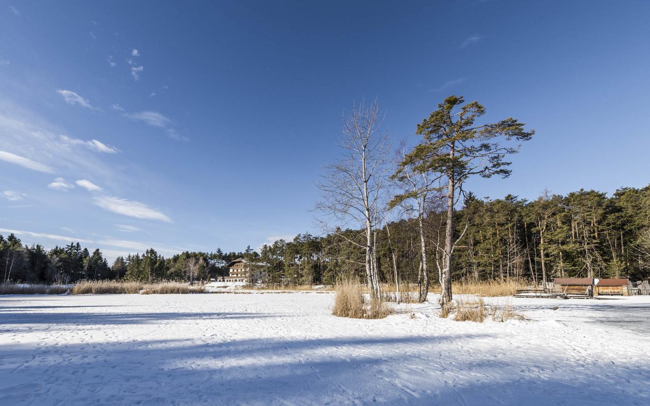 Hotel Waldsee フィエー エクステリア 写真